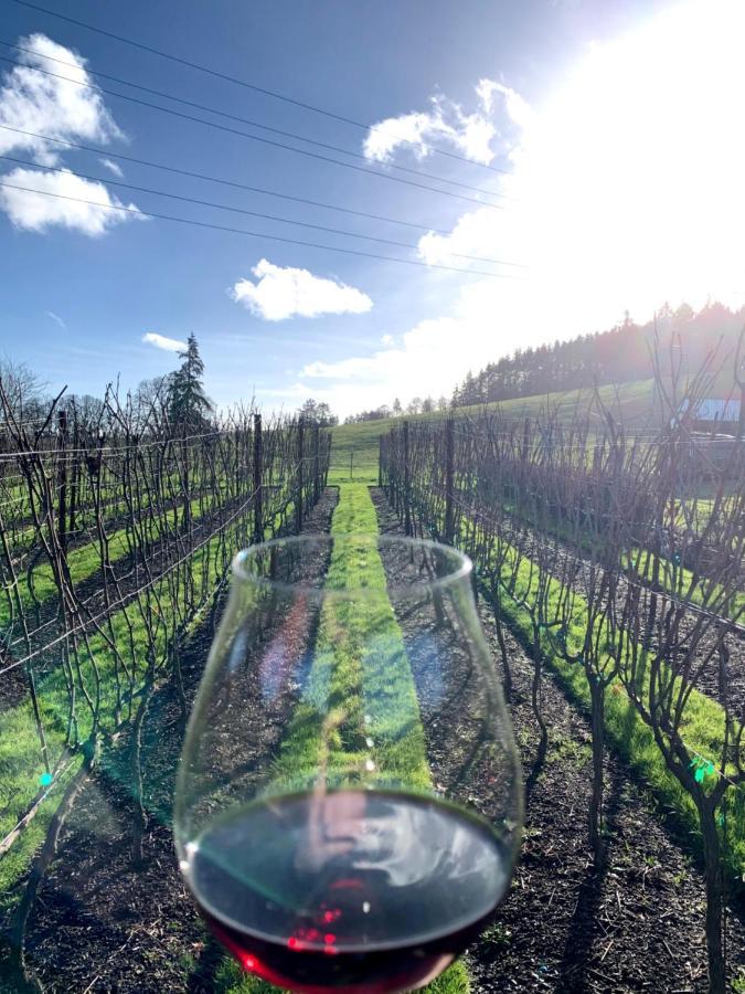 The Setting Inn Willamette Valley Newberg Buitenkant foto