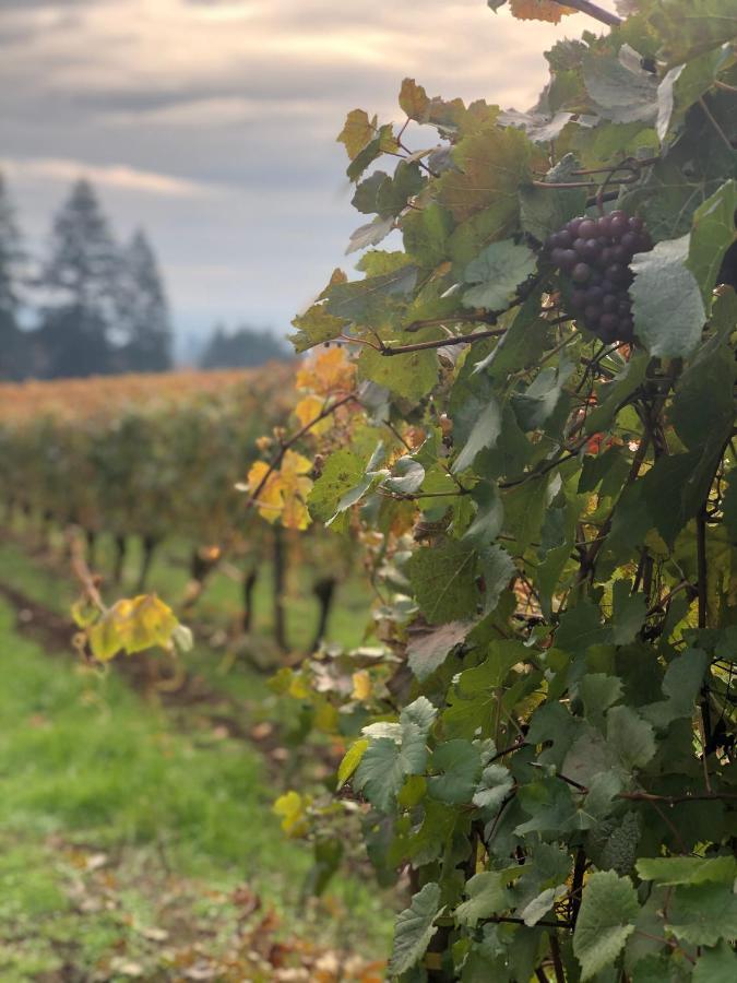 The Setting Inn Willamette Valley Newberg Buitenkant foto